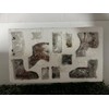 Nativity Set Animal Collection Holiday Home Decor Set of 11pcs
