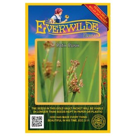 Everwilde Farms - 2000 Path Rush Native Grass Seeds - Gold Vault Jumbo Seed Packet