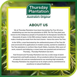 Polvo de pie y espray para plantación de árbol de té, ayuda a prevenir el olor y el sudor de los pies, Tea Tree Foot Powder                           