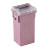Bussmann FMX-30 MAXI Fuse ('Slow Blow' Female - 30 A