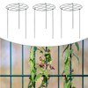 Generic 3 Pieces Peony Support Cages Plant Support Stakes Metal