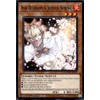 YU-GI-OH! Ash Blossom & Joyous Spring - SDWD-EN017 - Common - 1st Edition
