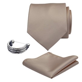 Gusleson Brand Men's Solid Silk Wedding Champagne Ties Neckties and Pocket Square Bar Pins Clasp Sets (UK0799-10-S)