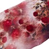 JWSilk 100% Charmeuse Silk Long Scarf Floral Print (Red Roses)