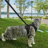 pangdi Cat Harness and Leash Set Escape Proof Tactical Extra