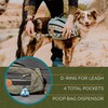 Wilderdog Dog Backpack with Built in Harness and Back-Mounted D-Ring