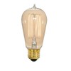 Satco S2413 40 Watt 135 Lumens ST19 Incandescent Medium Base