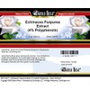 Bianca Rosa Echinacea Purpurea Extract (4% Polyphenols) - Salve Ointment