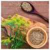 Everwilde Farms - 1 Oz Florence Fennel Herb Seeds -