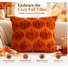 3D Plush Pumpkin Pillow Cover for Fall Decorating – Soft