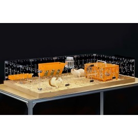 GuineaLoft™ Acrylic Cage (Model-A) - Large 4x2ft Open Cage for Guinea Pigs, Bunnies, Quails, Hedgehogs, Roaming Small Animals, DIY Extendable - Visit The Guinea Loft Store to See It All