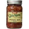 Chip Magnet Garlicious Salsa, Mild, 16 Ounce