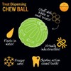 Starmark Treat Dispenser Chew Ball for Dogs, Medium