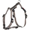 Ziggi Greige H-Harness XS 25-40 cm 10 mm