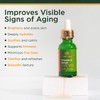 Tree of Life Vitamin C Serum for Face - Brightening