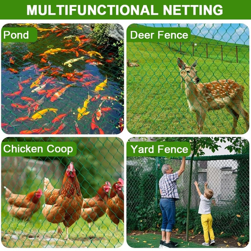 Vogelschutznetz, 2m x 5m Hühnernetz Gartennetz Geflügelnetz Teichnetz Obstschutz Pool