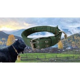 Cow Collar - Adjustable Four-Layer Nylon Thickened Cow Collar Collar with 2-Rows Metal Buckle and Ring Metal Buckle Traction Chain for Horse, Sheep, Cattle, Dog, Camel (28.7inch)