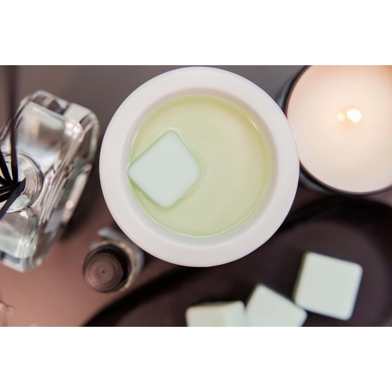 Modern Classics - Sea Salt & Oakmoss - Soy Wax