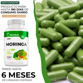 Bioherb | Moringa 100 % Pura, Extremadamente Eficaz 360 Cápsulas (500 Mg) Potente Superalimento Antioxidante, Energía Y Vitalidad Natural