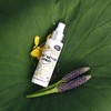 Clean-n-Fresh Toilet Spray, 6.8 Fl.oz Poo Spray | Up to