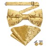 Hi-Tie Gold Mens Silk Jacquard Suit Vest Necktie and Pre-tied