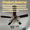 Runseaway 4PCS 14 Inch Ceiling Fan Pull Chains Extender, Dragonfly