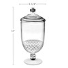 Bekmore Large Apothecary Jar with Airtight Lid in Premium Acrylic,