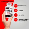 Magnesio Glicinato Essential 420mg TESTROL – Alta Absorción | Apoyo