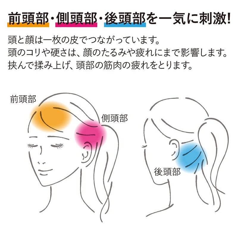 Alphax Scalp Massage Brush for Women Men Hogshia Scalp Gray