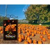 Happy Thanksgiving Flags,Thanksgiving Garden Flag 28 x 40 Inch Thanksgiving