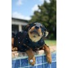 Rottweiler Notebook: Cute Rottweiler Dog Journal Diary Size 6"x 9",