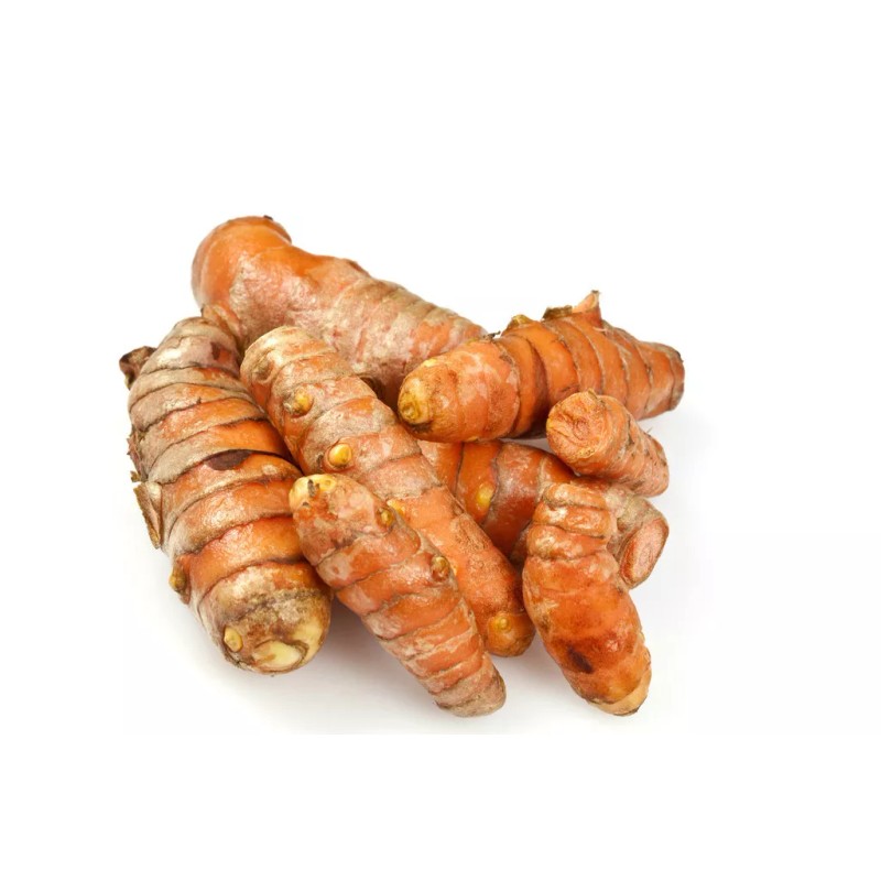 NINE SHANI Turmeric Roots Yellow Fresh Whole Raw Non GMO