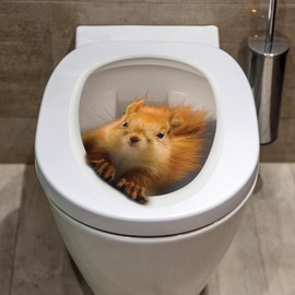 Jowxsx Yellow 3D Squirrel Toilet Seat Sticker - 3D Squirrel Toilet Seat Sticker, Squirrel Toilet Lid Sticker Toilet Lid Bathroom Toilet Sticker Funny Toilet Lid