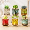 Succulent Pots with Drainage Tray, Cute Ceramic Pots for Plants