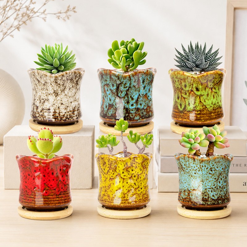 Succulent Pots with Drainage Tray, Cute Ceramic Pots for Plants