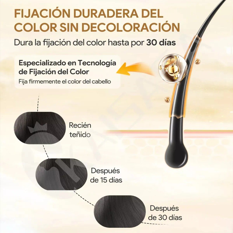 Shampoo Con Tinte De Cubre Canas Natural Jengibre 500ml