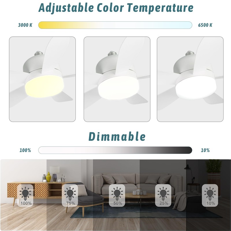 Ceiling Fan with Lighting Fixture, Plug-in Type, with Remote Control