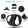 Angelpet Harness for Cats, Kittens, Puppies, Small Dogs, Walks, Outings,