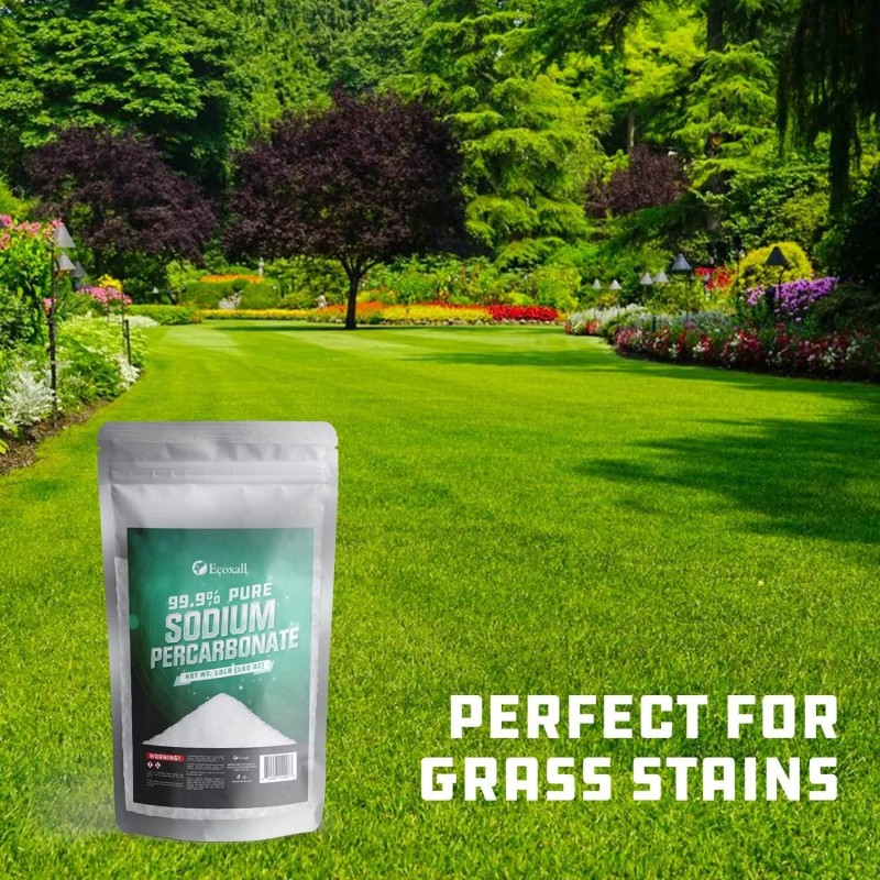 Pureza De Percarbonato De Sodio 99% - 2 Libras (Peroxido