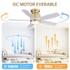 42-Inch Flush Mount Indoor Ceiling Fans with LED Light &