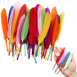 100Pcs Feathers for Crafting, Soft Coloured Feather, Craft Feathers, for Fantasy Ornament Dream Catchers Earring Wedding Party DIY Art Crafting Gift Box Filling Decoration, 10-15cm