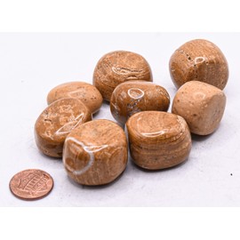 HQRP Limonite Cabochon Pebble Rare Natural Goethite Polished Stone Cab Mineral Crystal Cab - 5PCS