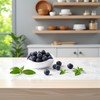 WsjiaboFux 20 Pcs Artificial Blueberries Plastic Fake Blue Berry Plants