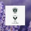 Herbal Essences Jojoba Oil Lavender Curls Shampoo