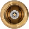 1 inch Check Valve with Backflow Preventer for Merrill CVNL100