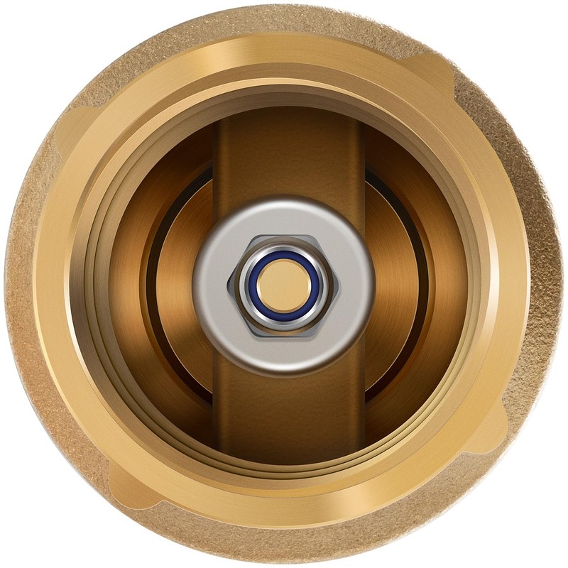 1 inch Check Valve with Backflow Preventer for Merrill CVNL100