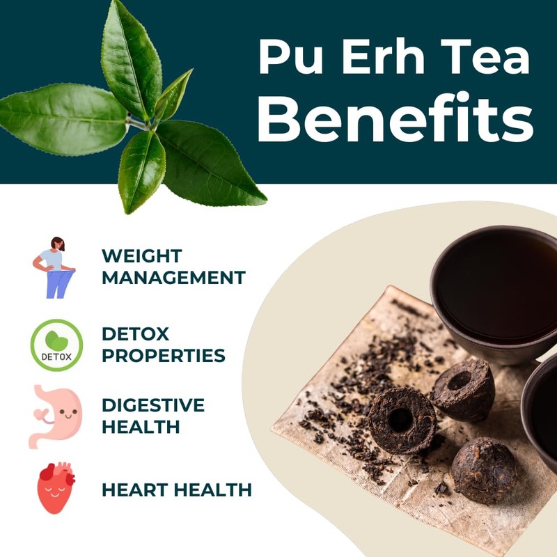 Teapro 2012 Rose Mini Tuo Cha Ripe Pu Erh (10pcs)