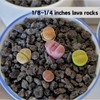 7lb Black Lava Rock for Plant, 1/8-1/4 inch Horticultural Volcanic