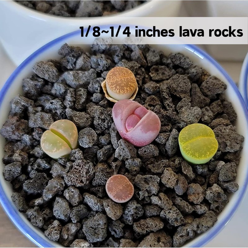 7lb Black Lava Rock for Plant, 1/8-1/4 inch Horticultural Volcanic
