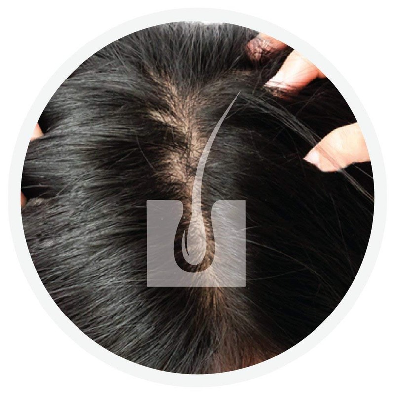 Vegetal Safe Hair Color -Soft Black 100g. - Certified Organic